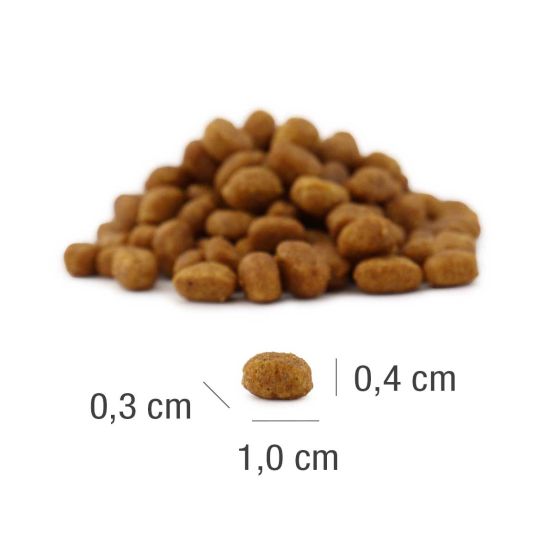 MeatCrisp Kitten Fish