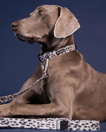 Glow Hundeleine 2.0