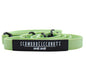 Leine "Schietwedda" Mint