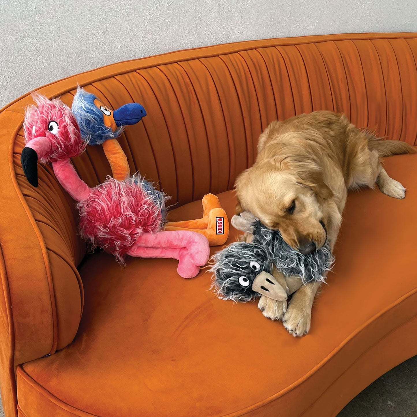 Comfort Jumbo Birds XL