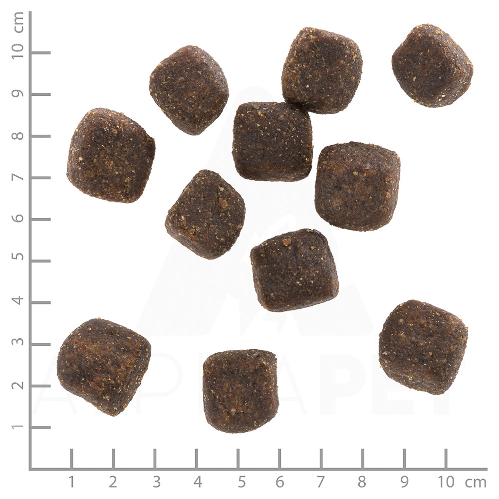 Wild Duck Squashies 300g