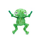Floatie Frog