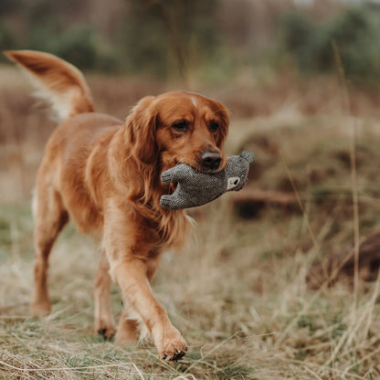 Hundespielzeug Billund Bär