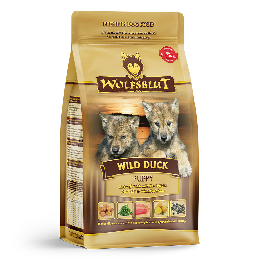 Wild Duck Puppy