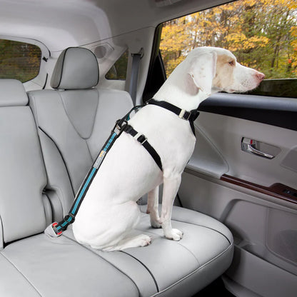 Auto Gurtschloss-Hundegurt