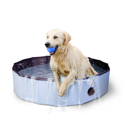 Splash Dog Pool