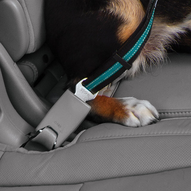 Auto Gurtschloss-Hundegurt mit Drehkarabiner