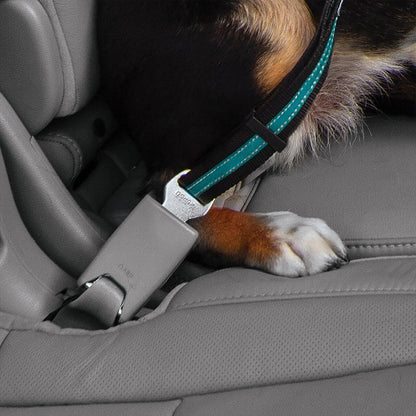 Auto Gurtschloss-Hundegurt mit Drehkarabiner