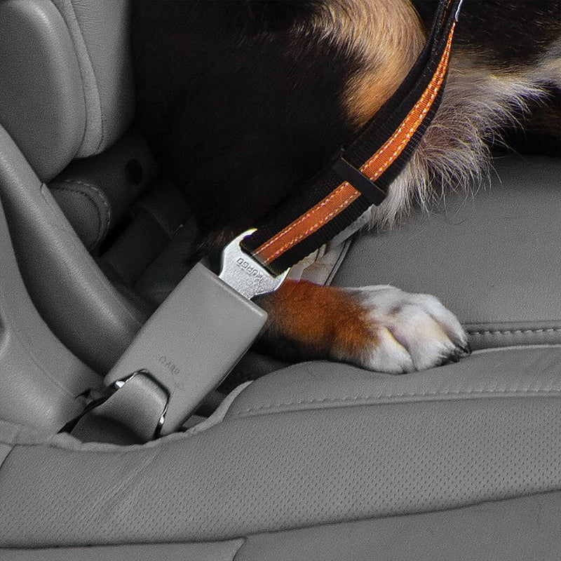 Auto Gurtschloss-Hundegurt mit Drehkarabiner
