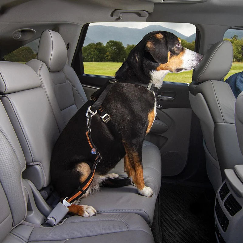 Auto Gurtschloss-Hundegurt mit Drehkarabiner