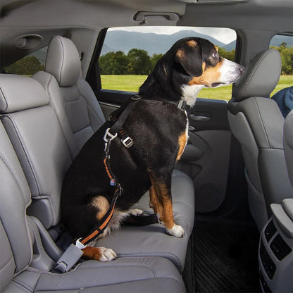 Auto Gurtschloss-Hundegurt mit Drehkarabiner