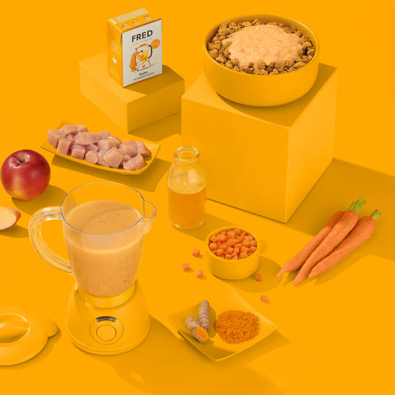 Smoothie Huhn mit Kurkuma 190g