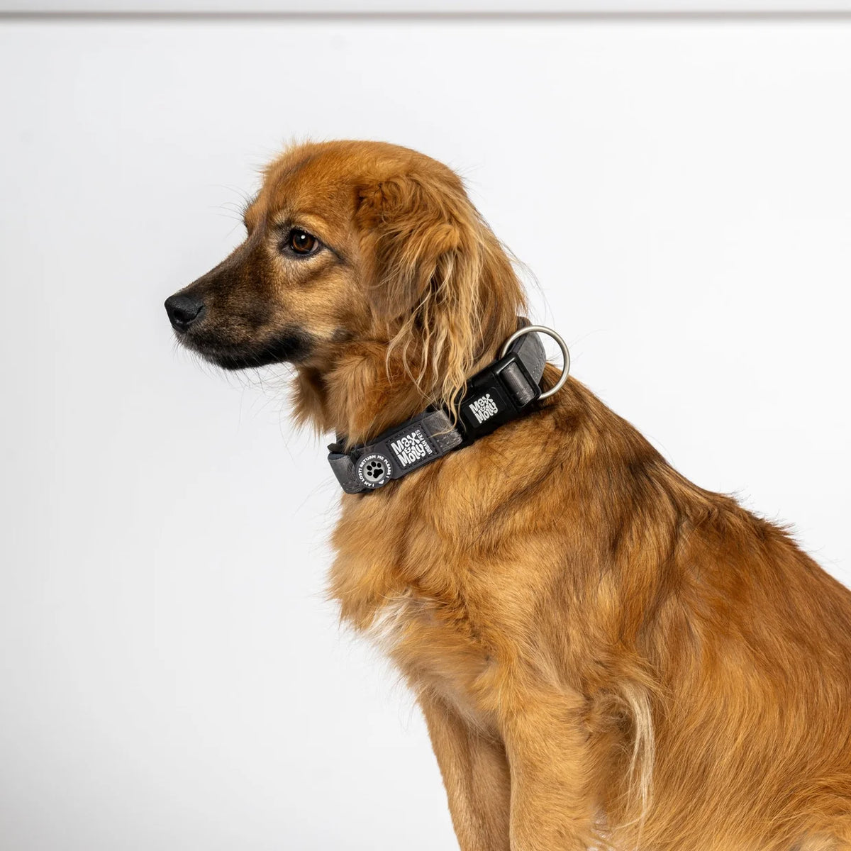 Smart ID Halsband - Matrix 2.0 Stone