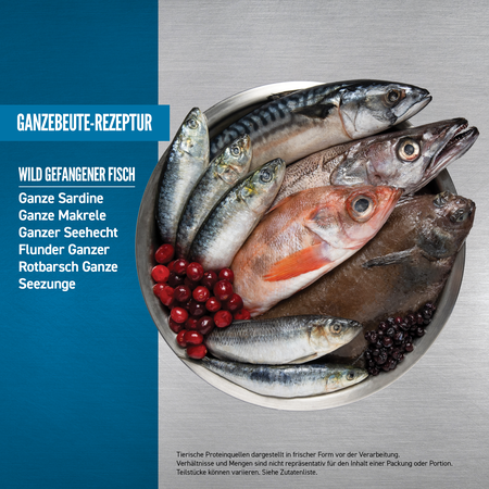 Six Fish 2kg