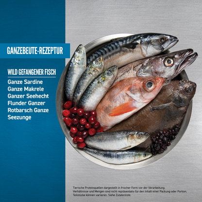 Six Fish 2kg