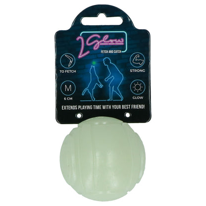 Fetch & Play