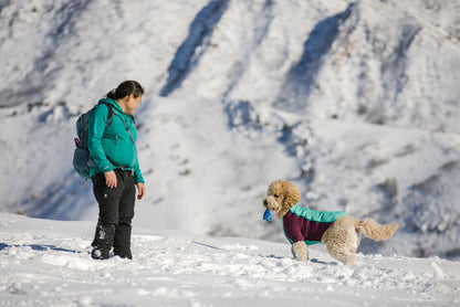Huck-a-Cone Blue Pool