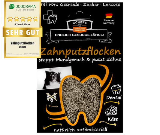 Zahnputzflocken Hund
