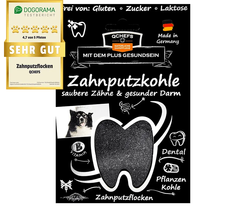Zahnputzkohle Hund
