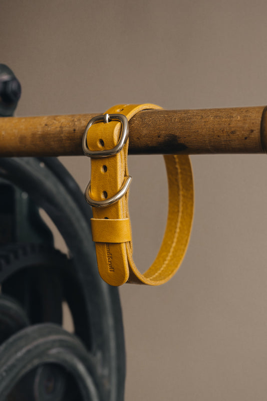 Hundehalsband aus Leder. Tanne Gelb