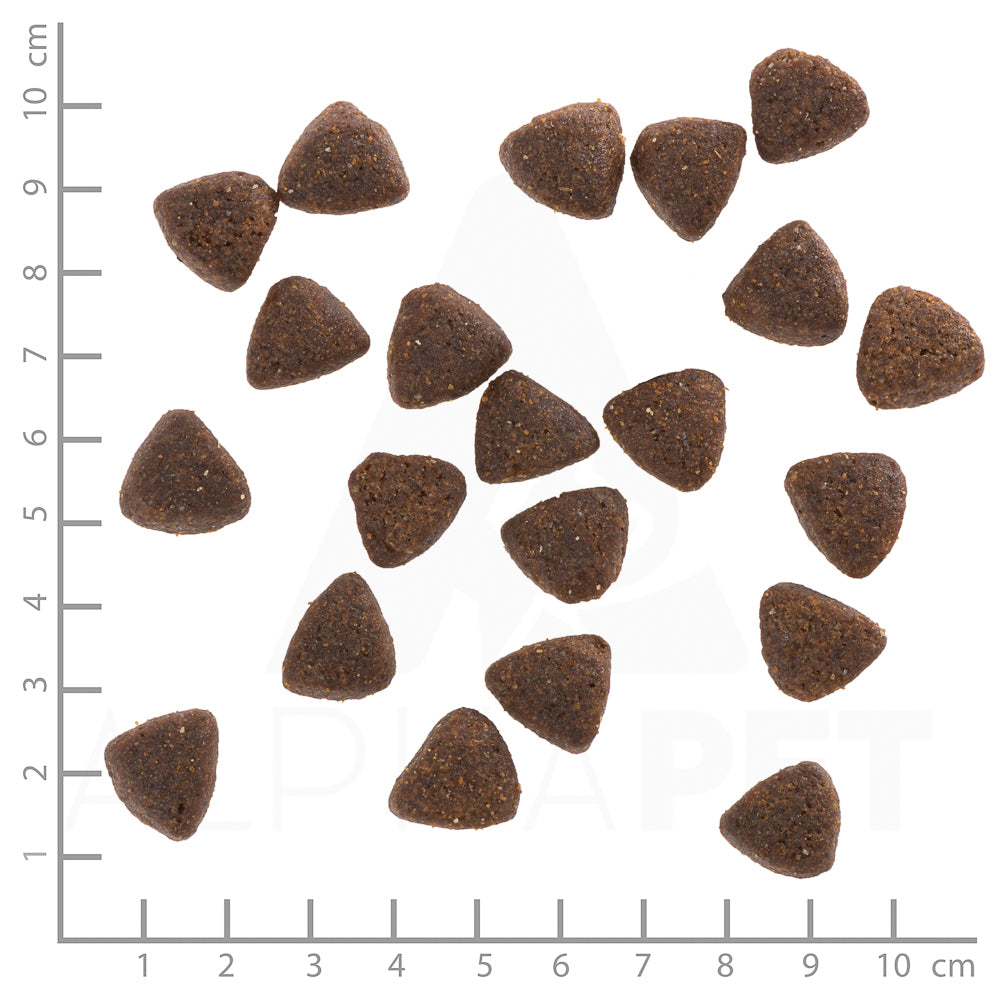 Wide Plain Active 12,5kg