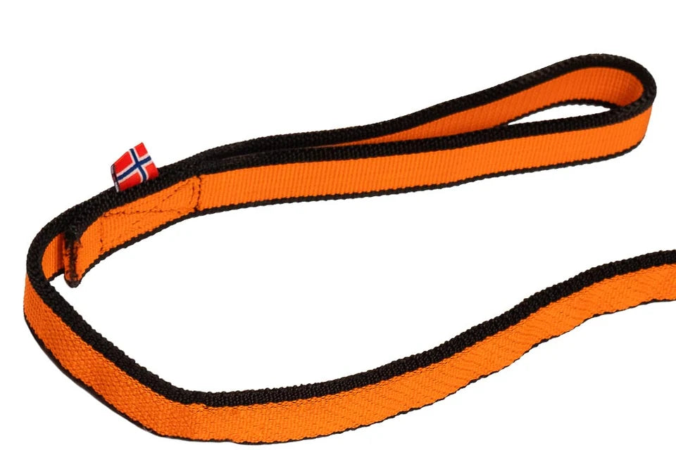 Bungee Leash 2.0 2 M orange