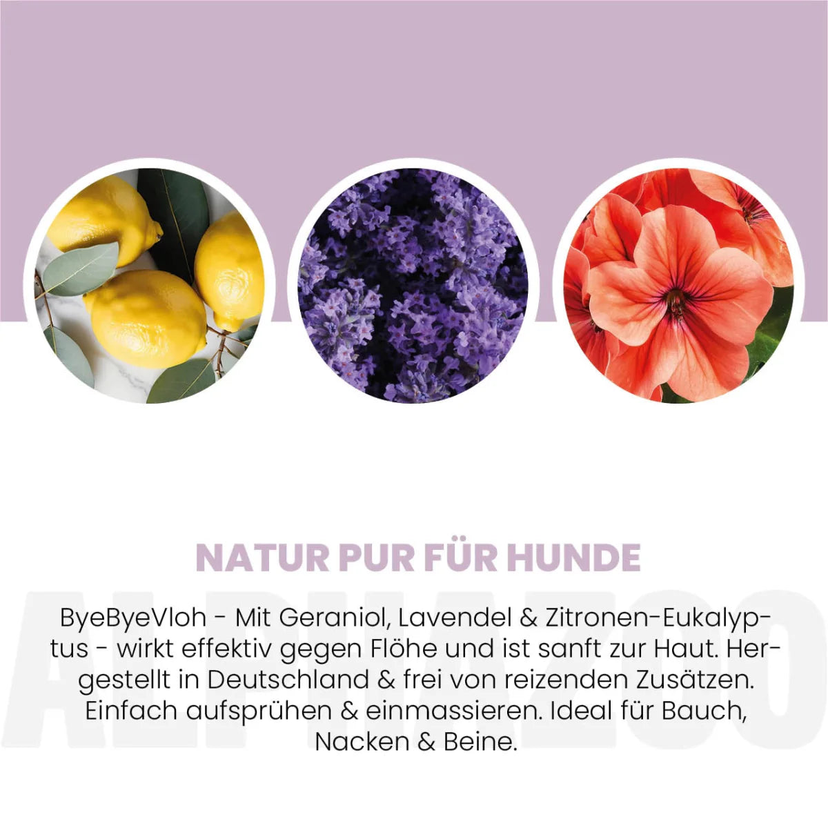 ByeByeVloh Flohspray für Hunde