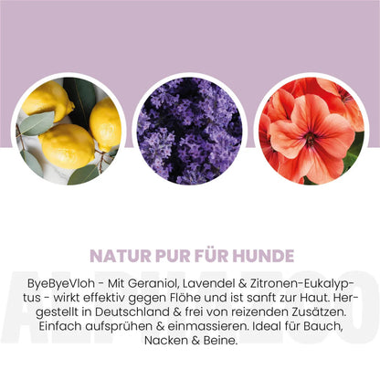 ByeByeVloh Flohspray für Hunde