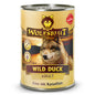 Wild Duck