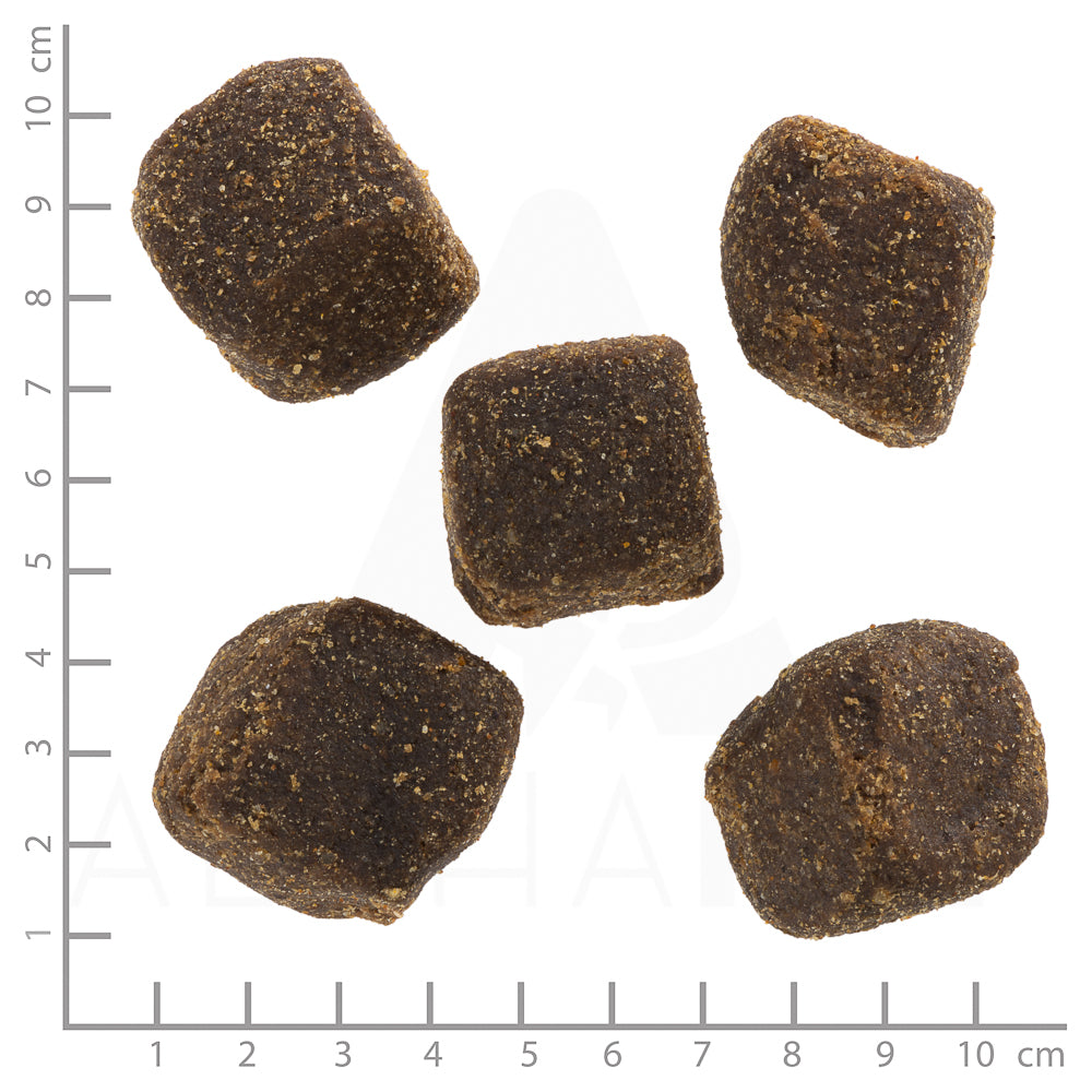 Black Bird Squashies