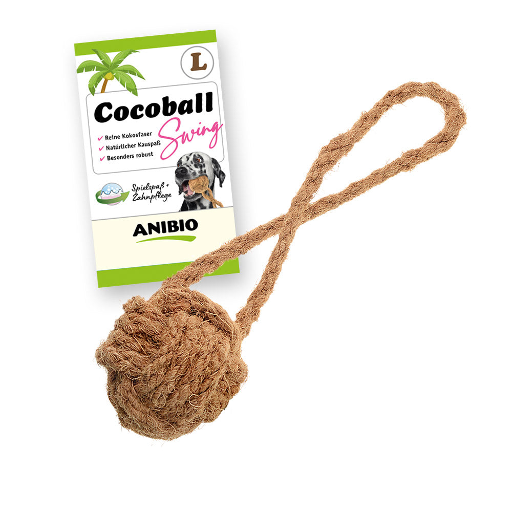 Cocoball Swing