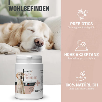 Darm Prebiotic 150g
