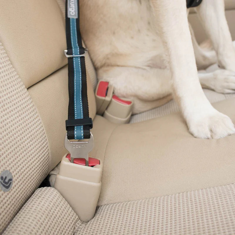 Auto Gurtschloss-Hundegurt