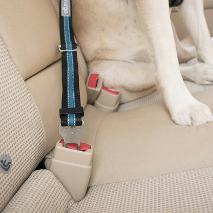 Auto Gurtschloss-Hundegurt