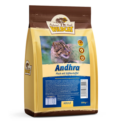 Andhra 10 Sorten Fisch