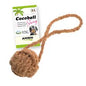 Cocoball Swing