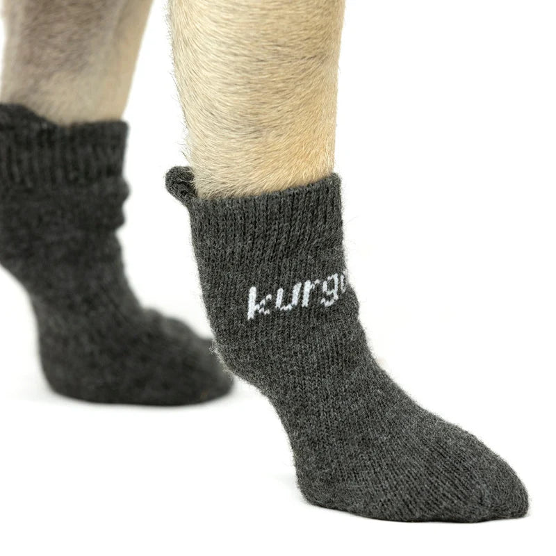 Blaze Hundesocken