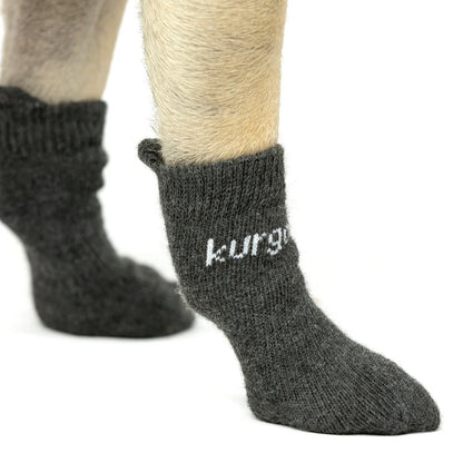 Blaze Hundesocken
