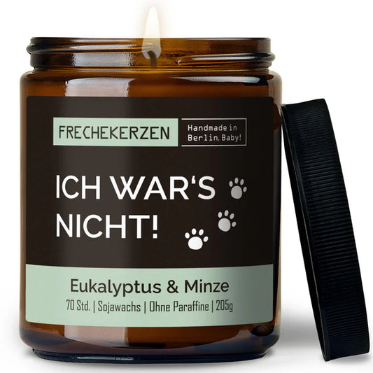 Kerze mit Spruch | ich war‘s nicht! - Eukalyptus & Minze