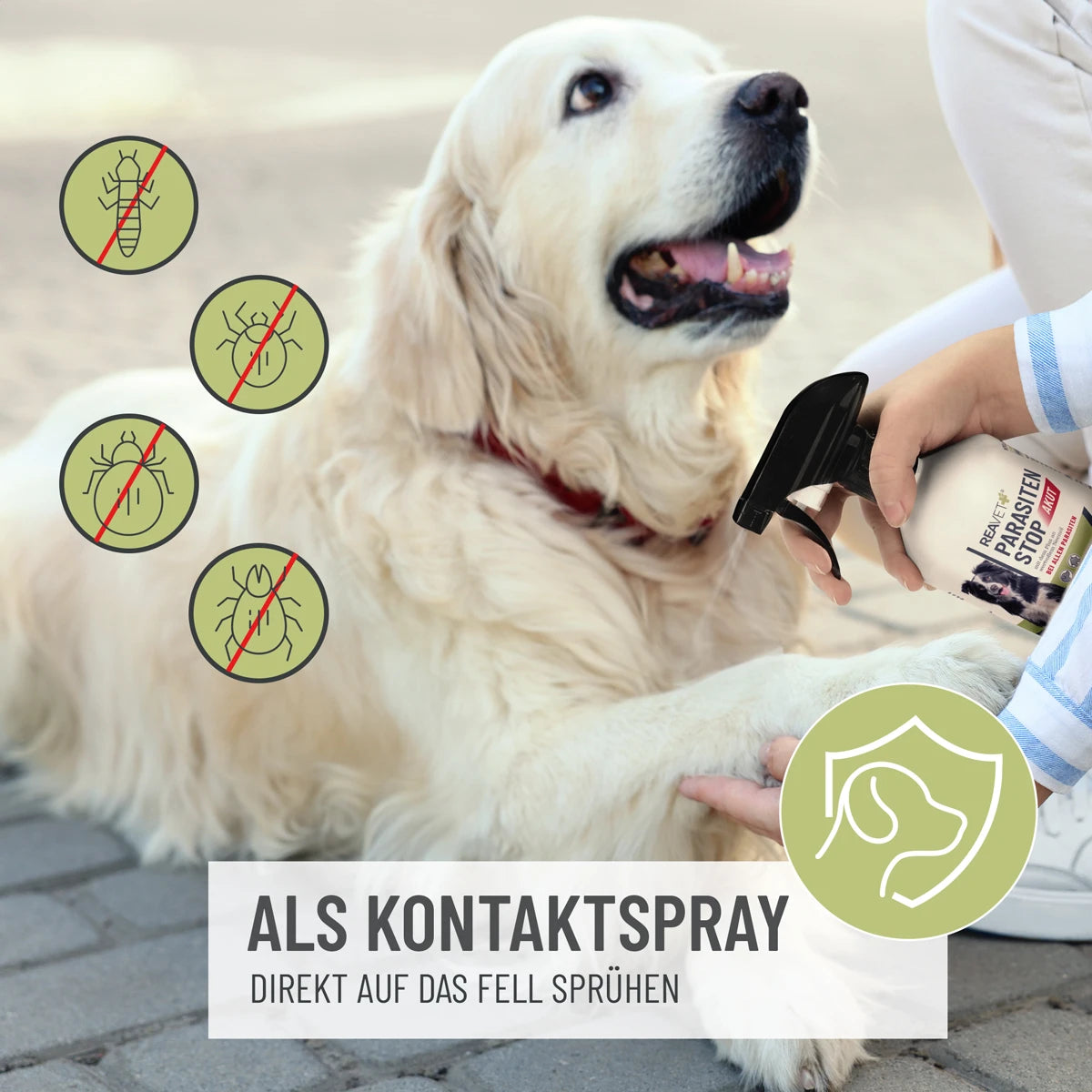 Parasiten Stop AKUT 500ml