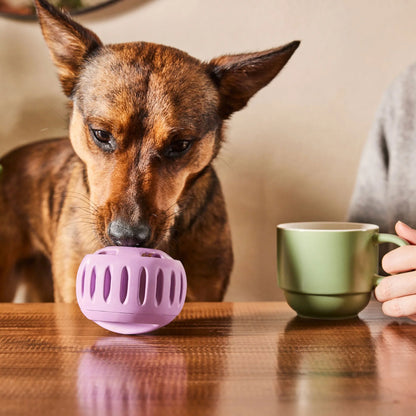Pupsicle (lavendel, Größe S)