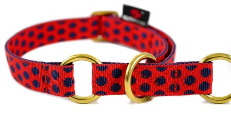 Schlupfhalsband Dots Red-Darkblue medium