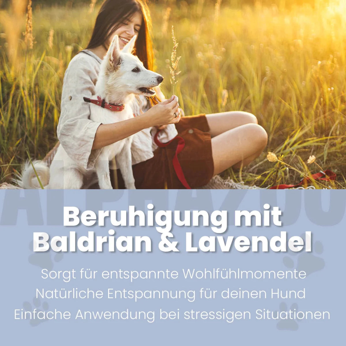 Seelenruhe Körbchenspray Spray 100ml