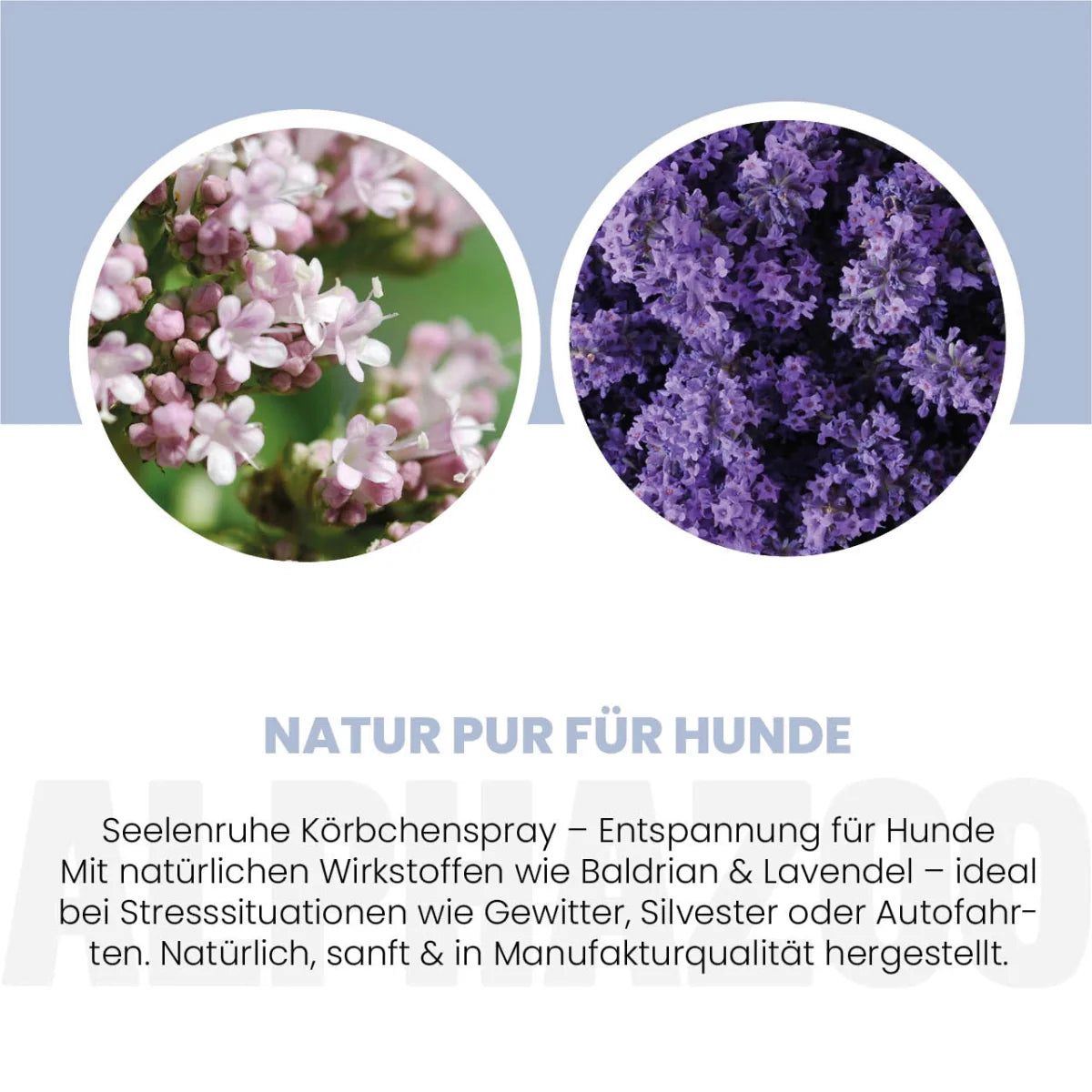 Seelenruhe Körbchenspray Spray 100ml