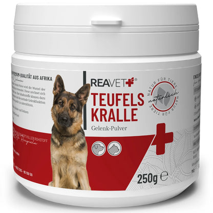 Teufelskralle 250g