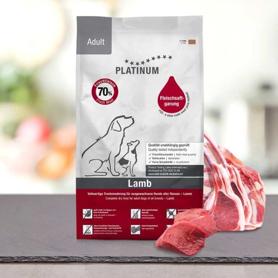 Adult Lamb
