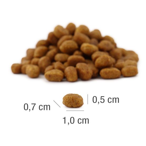 MeatCrisp Adult Fish