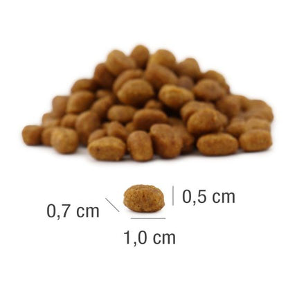 MeatCrisp Adult Fish