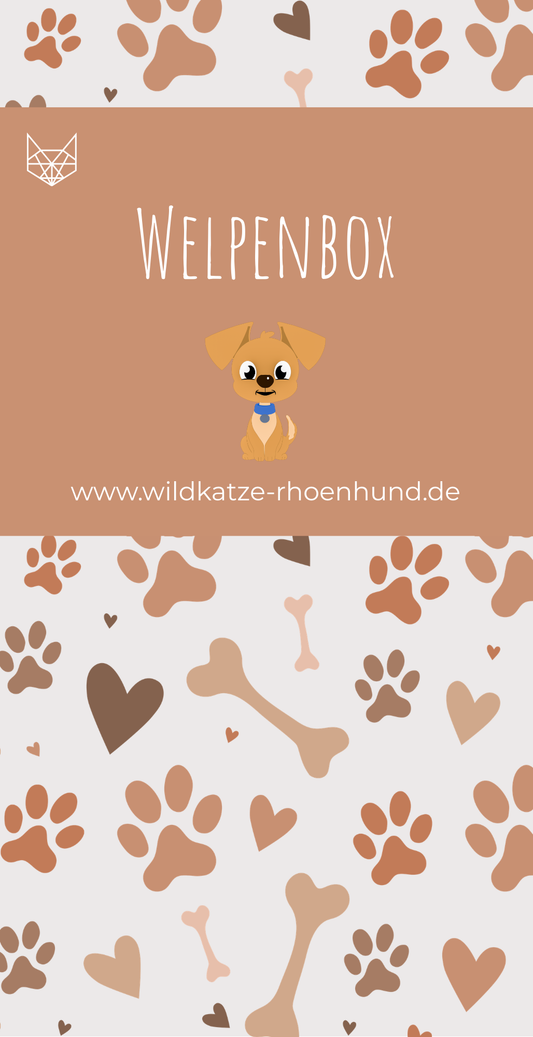 Happy-Woof-Box Welpen