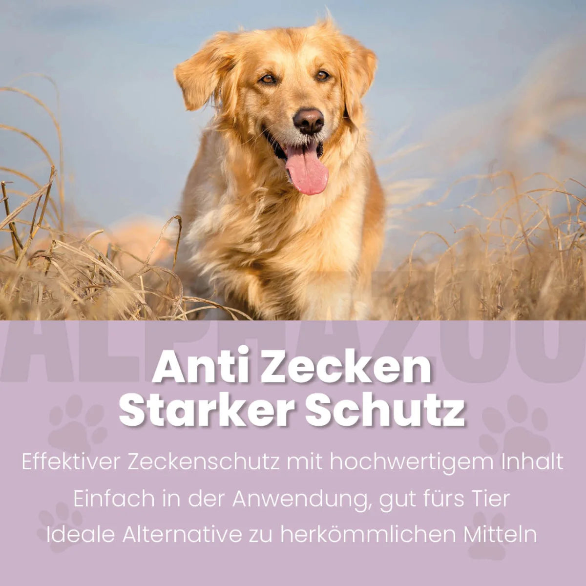 ZeckAttack Zeckenspray 250ml